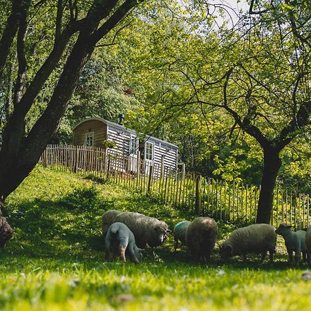 Somerset Shepherds Huts Otel Winsham Dış mekan fotoğraf